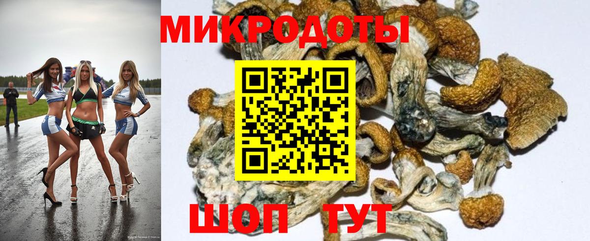 Галлюциногенные грибы Cubensis Симферополь